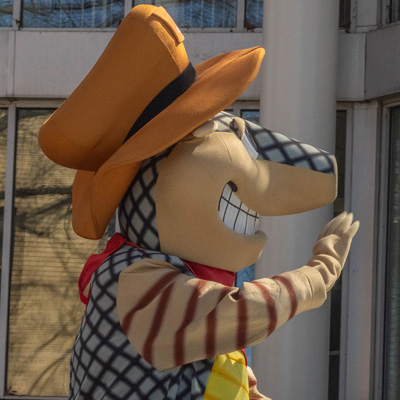 armadillo-mascot